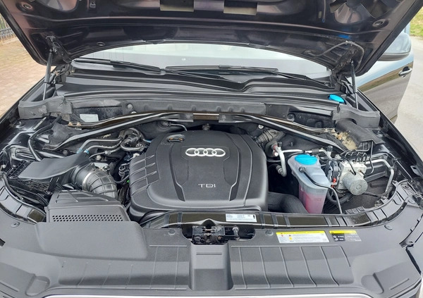 Audi Q5 cena 65700 przebieg: 256000, rok produkcji 2013 z Skoczów małe 154